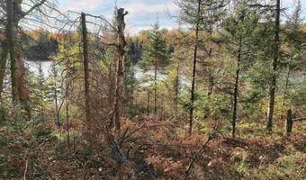 TBD 5.5ac Fishing Site 1, Amasa, MI 49903