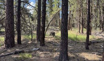 Thunderbear Road 46, Bonanza, OR 97623