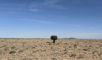 BOSQUE SANDHILL RANCH, Belen, NM 87002