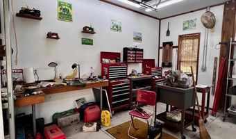 4700 55th Ave, Bell, FL 32619