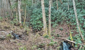 168 Laramie Hts, Andrews, NC 28901