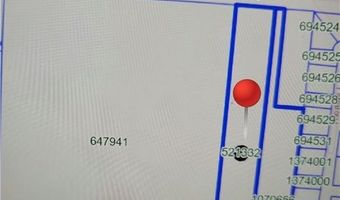 Tbd E Fm 495, Alamo, TX 78516