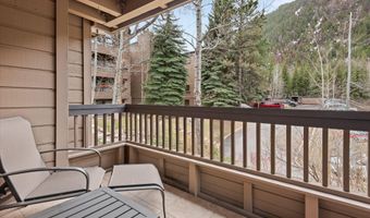 610 S West End St D203, Aspen, CO 81611