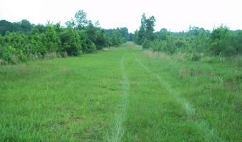 2200 Gillionville Rd, Albany, GA 31707