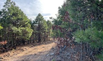 Tract 5 K-Trail, Albion, OK 74571