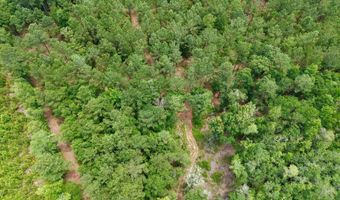 Fox Paw Court, Branchville, SC 29432