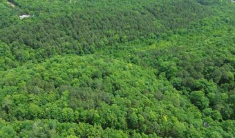 E Mountain Road, Bee Branch, AR 72013