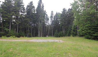 55 Black Duck Cove Rd, Beals, ME 04611
