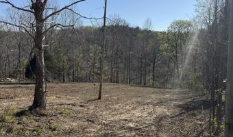 County Road 3782 lot 11, Arley, AL 35541