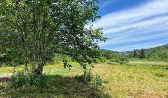 0 Woodland Hills Rd, Andes, NY 13731