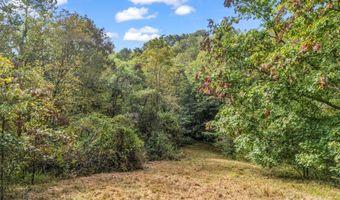 19 Woodchuck Cove Way, Alexander, NC 28701