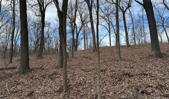 1300 Woodcliffe Dr, Alton, IL 62002