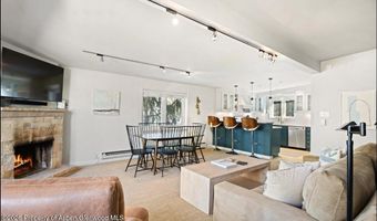 805 E Cooper Ave 12, Aspen, CO 81611