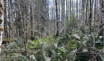 Northrup Creek RD, Birkenfeld, OR 97016
