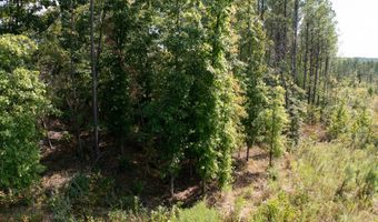 Cr 816, Blue Mountain, MS 38610