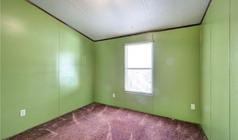 497 Cherokee Trl, Ball Ground, GA 30107