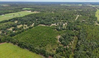 3670 25th Cir, Bell, FL 32619