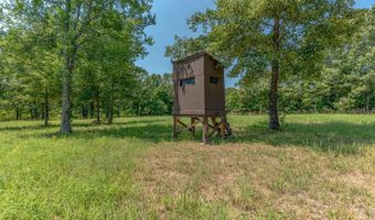 13633 U.S. 62, Ash Flat, AR 72513