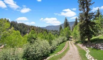 1373 McLaughlin Ln, Basalt, CO 81621