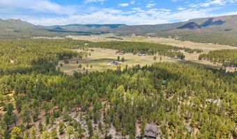 98 County Road 2266, Alpine, AZ 85920