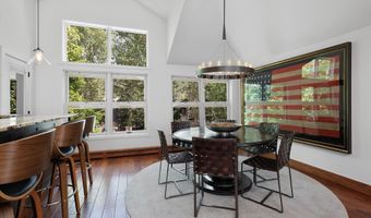 925 E DURANT Avenue 2, Aspen, CO 81611