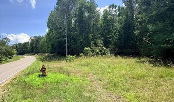 COUNTY ROAD 49, Beaverton, AL 35544