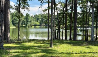 475 Co Rd 411, Abbeville, AL 36854