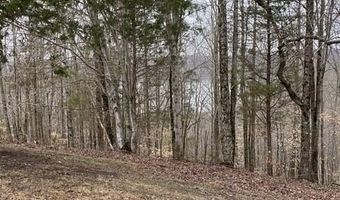 13 31 AC Austin Ridge Rd, Baxter, TN 38544