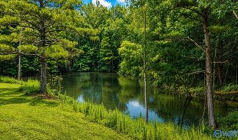 58 Acres Naples Ln, Arab, AL 35016