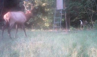1426 CR 921, Alpena, AR 72611