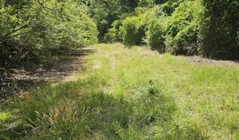 Madison Court, Bailey, NC 27807