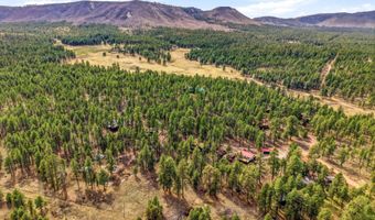 6 N CR 2148, Alpine, AZ 85920
