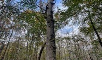 Perry Chapel Road, Ashland, MS 38603