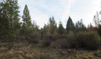 Polar Bear Lane lot 3, Bonanza, OR 97623
