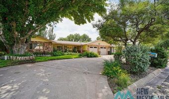 1212 Landsun Dr, Carlsbad, NM 88220