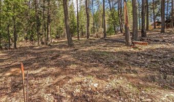 NNA Hanaford Rd Lot 11, Blanchard, ID 83804