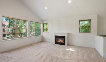 711 Evans Ct, Basalt, CO 81621