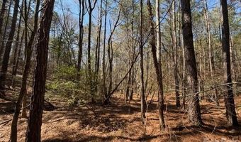 12 68 Acre 99 Rd, Blair, SC 29015