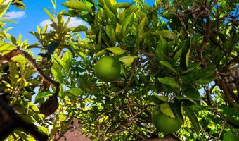 3612 Polk Ave, San Diego, CA 92104