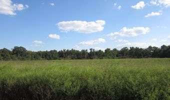 Baxter Rd, Ashford, AL 36312