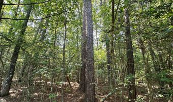 Ms-25, Brandon, MS 39047