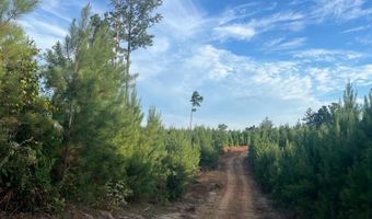 Ms Hwy 540, Braxton, MS 39044