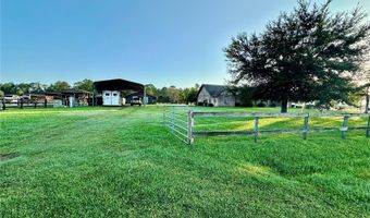 1350 RED COLT Ct, Astor, FL 32102