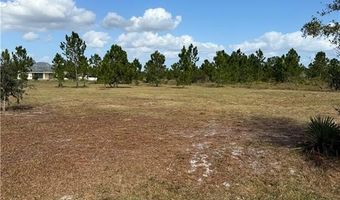 2510 W Butkus Rd, Avon Park, FL 33825