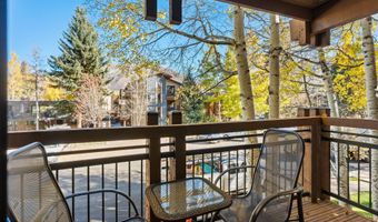 131 E Durant Ave 202, Aspen, CO 81611