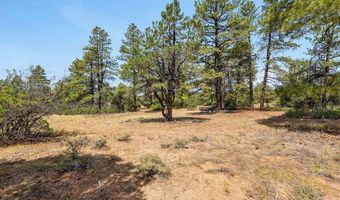 1788 Foxfire Rd, Bayfield, CO 81122