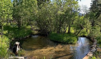 84 County Road 113 S, Allenspark, CO 80510