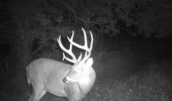 189 Th St, Albia, IA 52531