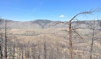 3600 Moondance Way, Bellvue, CO 80512