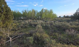 TBD 40 AC Arcadia Road, Ashton, ID 83440